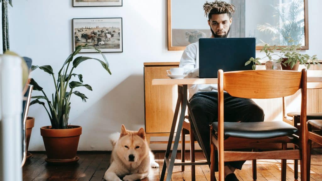 5 Pandemic-proof Side Hustles
