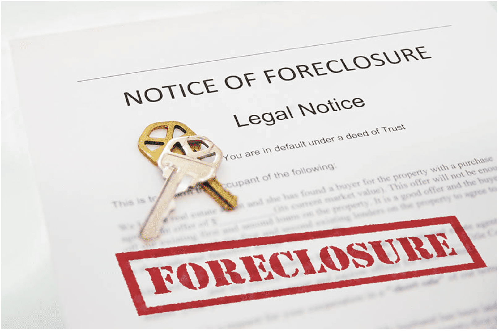 buying foreclosed homes process
